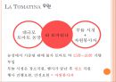 [A+] 농촌관광 사례조사  화천 토마토축제 & 스페인 LATOMATINA 비교분석  부뇰부놀  강원도관광  화천관광  체험관광  SIT  특수목적관광  산천어축제  축제프로그램  이벤트 13페이지