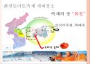 [A+] 농촌관광 사례조사  화천 토마토축제 & 스페인 LATOMATINA 비교분석  부뇰부놀  강원도관광  화천관광  체험관광  SIT  특수목적관광  산천어축제  축제프로그램  이벤트 16페이지