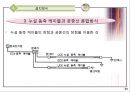 [A+] 소방활동에 필요한 무전통신 보조설비 조사보고서  누설동축케이블  무선기기 접속단자  분배기  증폭기  종단저항기  안테나  누설 동축 케이블(LCX) 방식  공중선(Antenna) 방식  임피던스 정합 23페이지