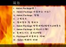 [A+] 하론패키지(Halon package) 조사보고서  소화가스실린더 소방방재  화재설비  소방설비  소화설비  Halon 약제  Halon 솔레노이드  설치장소  설치도  구성요소  장점 2페이지