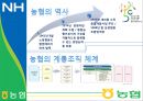 [A+] 농협의 금융시스템, 그리고 사업구조개편 - 농업협동조합, 농촌금융시장과 상호금융, 농협의 전자금융, 같이의가치, 사업구조개편 전과 후, 사업구조개편 효과 및 고려사항, 대출금 거래 규모별 현황.ppt 4페이지