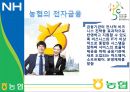[A+] 농협의 금융시스템, 그리고 사업구조개편 - 농업협동조합, 농촌금융시장과 상호금융, 농협의 전자금융, 같이의가치, 사업구조개편 전과 후, 사업구조개편 효과 및 고려사항, 대출금 거래 규모별 현황.ppt 13페이지