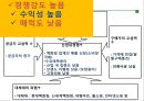 [A+] 현대백화점 차별화전략 - 한국의 유통산업, 유통시장 트렌드 분석, 백화점 산업전망, 경쟁자 분석, 롯데백화점, 신세계백화점, 백화점업계 고급화 경쟁, VIP마케팅, 시장점유율.ppt 13페이지