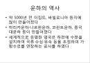 [4대강사업][운하][4대강정비사업][한반도 대운하]외국의 운하로 본 4대강사업과 그 효과(이명박 정부의 4대강사업, 운하의 역사, 중국 징항대운하, 프랑스 미디운하, 이집트 수에즈운하, 독일 RMD운하, 파나마운하) 3페이지