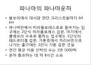 [4대강사업][운하][4대강정비사업][한반도 대운하]외국의 운하로 본 4대강사업과 그 효과(이명박 정부의 4대강사업, 운하의 역사, 중국 징항대운하, 프랑스 미디운하, 이집트 수에즈운하, 독일 RMD운하, 파나마운하) 10페이지