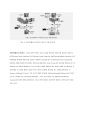Digital Watermarking 7페이지