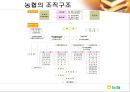 네가지 인식틀에서 바라본 농협의 문제점과 해결방안  11페이지