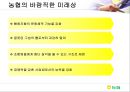 네가지 인식틀에서 바라본 농협의 문제점과 해결방안  19페이지
