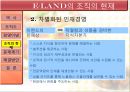 기업사례 분석 이랜드  8페이지