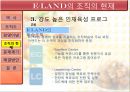 기업사례 분석 이랜드  10페이지
