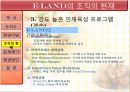 기업사례 분석 이랜드  11페이지