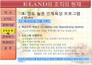 기업사례 분석 이랜드  12페이지