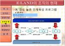 기업사례 분석 이랜드  13페이지