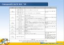세부퍼시픽 항공 (Cebu pacific).ppt 13페이지