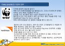 세부퍼시픽 항공 (Cebu pacific).ppt 21페이지