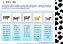 우유 및 유제품의 조리.ppt 3페이지
