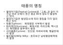 [태풍]태풍이란(태풍의 정의, 태풍의 특징, 태풍의 명칭, 태풍의 구조, 태풍의 발생조건, 태풍의 구분, 태풍의 이름, 태풍의 강도, 태풍의 진로, 태풍의 일생, 태풍의 영향, 태풍의 대비, 태풍과 지구온난화).PPT자료 4페이지