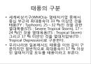 [태풍]태풍이란(태풍의 정의, 태풍의 특징, 태풍의 명칭, 태풍의 구조, 태풍의 발생조건, 태풍의 구분, 태풍의 이름, 태풍의 강도, 태풍의 진로, 태풍의 일생, 태풍의 영향, 태풍의 대비, 태풍과 지구온난화).PPT자료 7페이지