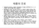 [태풍]태풍이란(태풍의 정의, 태풍의 특징, 태풍의 명칭, 태풍의 구조, 태풍의 발생조건, 태풍의 구분, 태풍의 이름, 태풍의 강도, 태풍의 진로, 태풍의 일생, 태풍의 영향, 태풍의 대비, 태풍과 지구온난화).PPT자료 10페이지