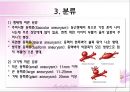 aneurysm PPT 5페이지