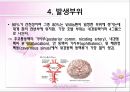 aneurysm PPT 6페이지