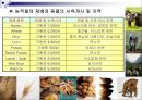 식생활과 문화 6페이지
