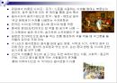 식생활과 문화 9페이지