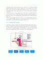 [소수력발전] 소수력발전의 원리와 장단점 3페이지