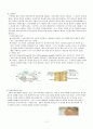 대상포진(Herpes zoster) Case study 11페이지