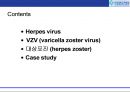 대상포진(Herpes zoster) Case study.ppt 2페이지