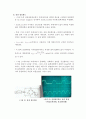 결과보고서 05장 3페이지