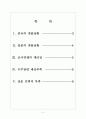 [항공우주산업] 한국의 우주개발 현황과 문제점 보고서 2페이지