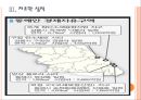[경제자유구역] 경제자유구역 정책에 대한 문제점과 해결방안.PPT자료 11페이지