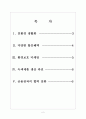 [비씨카드 기업분석] 비씨카드(BC Card) 마케팅 성공요인분석 보고서 2페이지