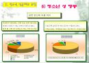 청소년 성교육 42페이지