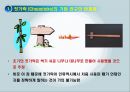 음식 속에 담긴 한중일 젓가락의 기원.ppt 3페이지
