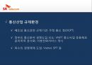 Sk 텔레콤 베트남 CDMA 셀룰러 사업.PPT자료 10페이지