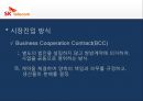 Sk 텔레콤 베트남 CDMA 셀룰러 사업.PPT자료 19페이지