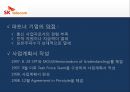 Sk 텔레콤 베트남 CDMA 셀룰러 사업.PPT자료 21페이지