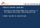 Sk 텔레콤 베트남 CDMA 셀룰러 사업.PPT자료 46페이지
