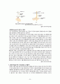 6학년 1학기) 과학 (2~4/08 차시) 5. 자기장 25페이지