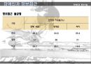 장애인차별 극복방안.ppt 13페이지