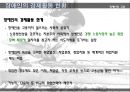 장애인차별 극복방안.ppt 17페이지