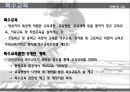 장애인차별 극복방안.ppt 27페이지