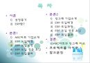 [경영] ERP 사례 - ABC마트와 빙그레 비교.ppt 2페이지