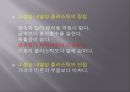 소성가공 - 자동차 배기가스 정화장치.ppt 19페이지