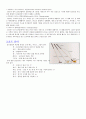 [스포츠] 골프(Golf) 3페이지