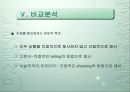 과  비교 연구.ppt 23페이지