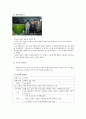 북한 TV의 즐거움 속으로 8페이지