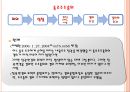 기업법 반대주주의 주식매수청구권.ppt 51페이지